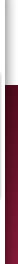 dental website design
